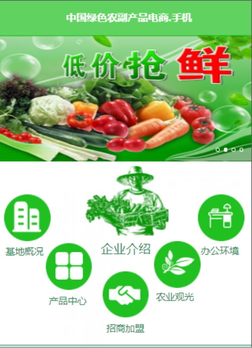 绿色农副产品电商平台,助力绿色农业发展